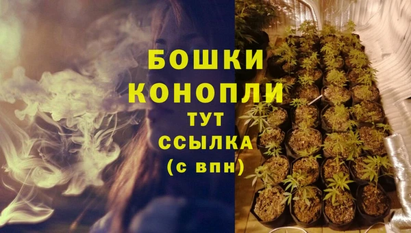 PSILOCYBIN Медногорск