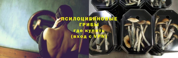 PSILOCYBIN Медногорск