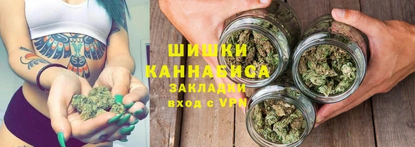 ГАЛЛЮЦИНОГЕННЫЕ ГРИБЫ Михайловск