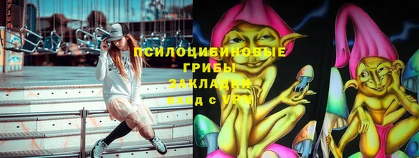 мескалин Медвежьегорск