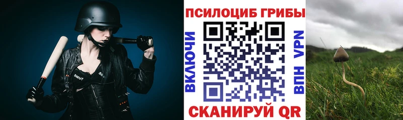 Псилоцибиновые грибы GOLDEN TEACHER  магазин  наркотиков  Нестеровская 